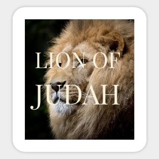 Lion of Judah Sticker